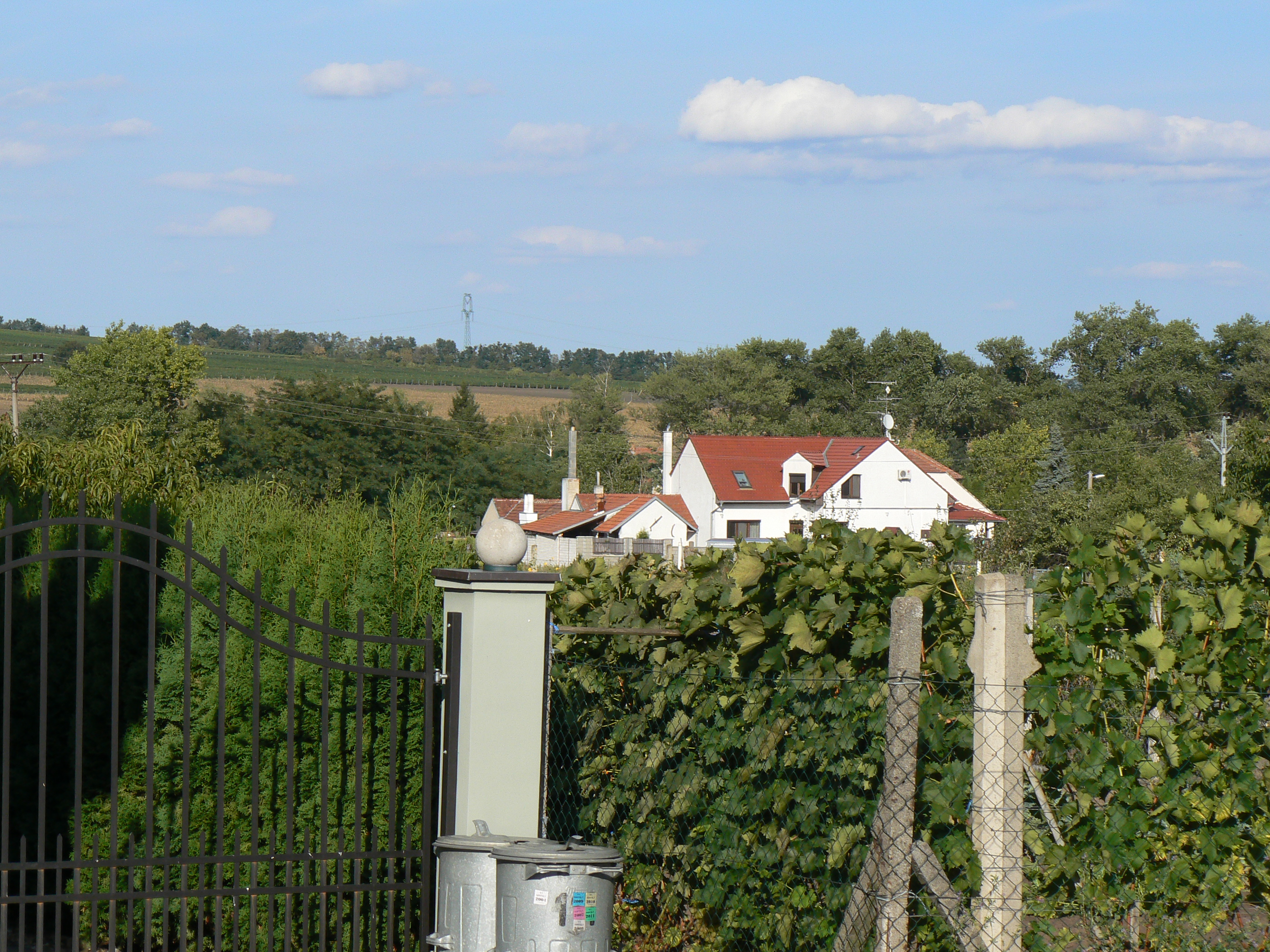 P1060006